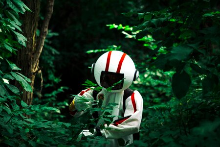 Forest nature people