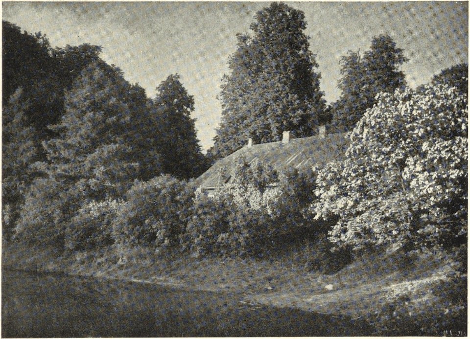 Janavičy, Brazoŭski. Янавічы, Бразоўскі (J. Bułhak, 1925)