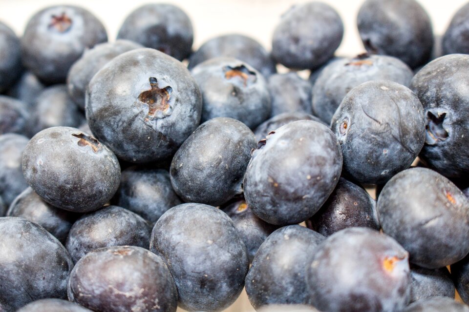Health berry gray health