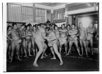 Japanese wrestlers LCCN2014706921