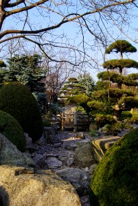Japanischer Garten (Freiburg im Breisgau) 5023