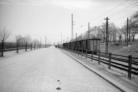 Janów-Nikiszowiec ul. Szopienicka 3 131 0 - 449 27282033