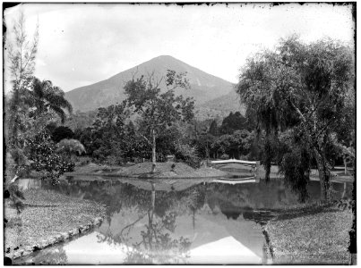 Jardim Botânico - 8