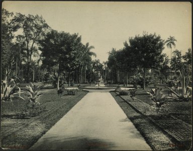 Jardim da Luz
