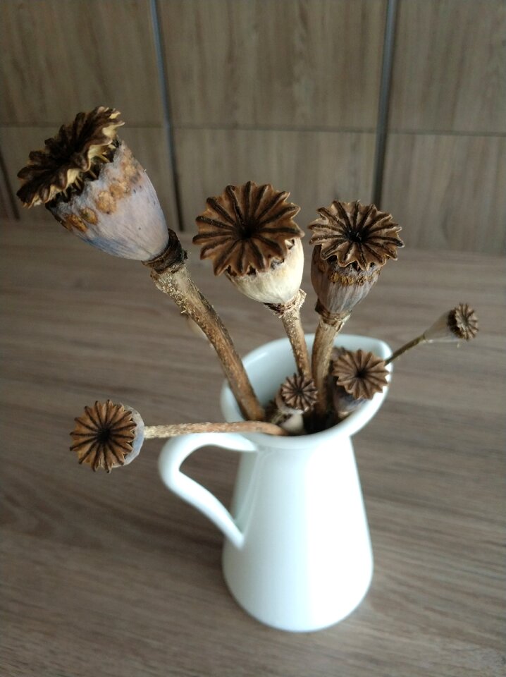 Poppy arrangement dried flowers