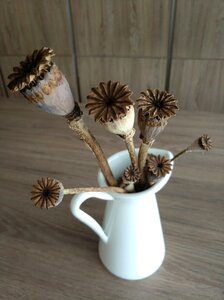 Poppy arrangement dried flowers photo