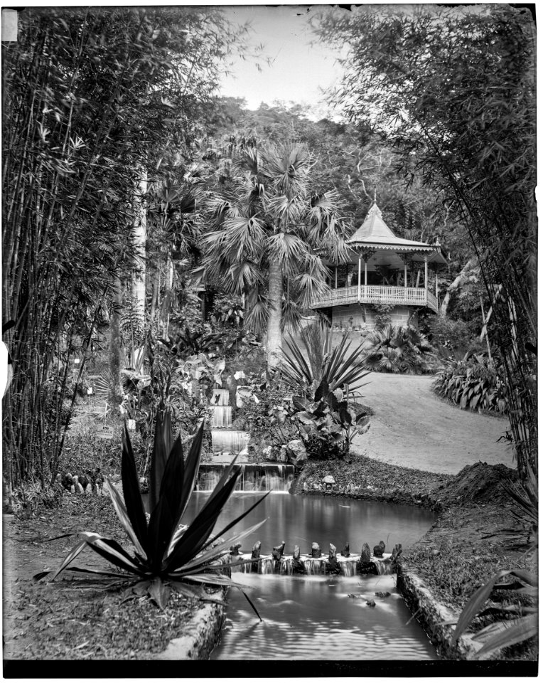 Jardim Botânico - 2