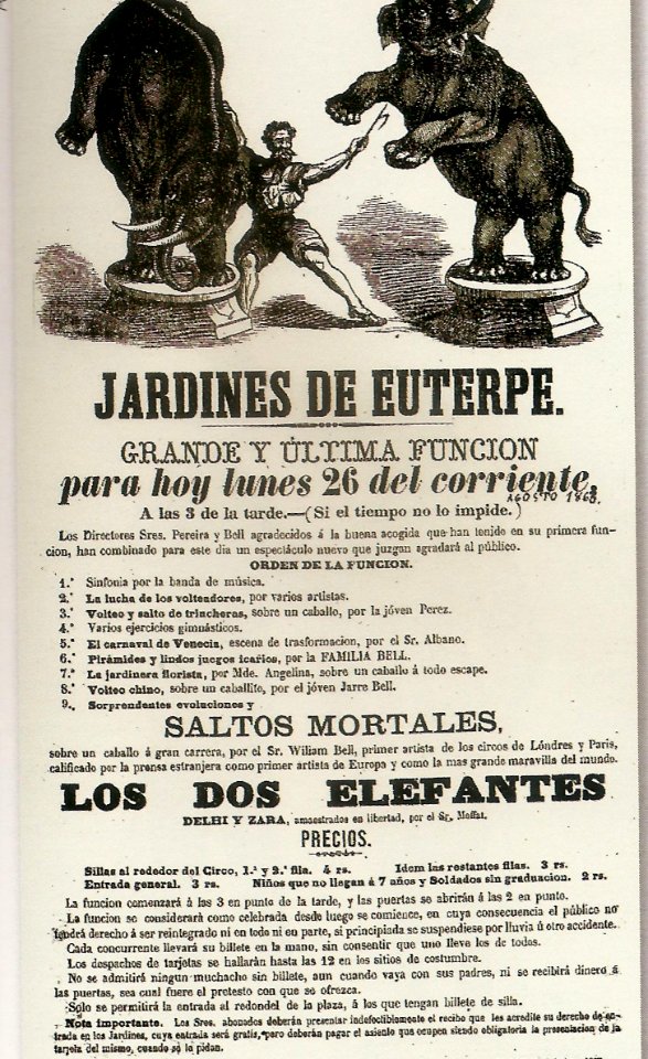 Jardins de l'Euterpe1