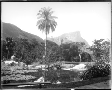 Jardim Botânico - 6