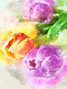 Color nature pastel