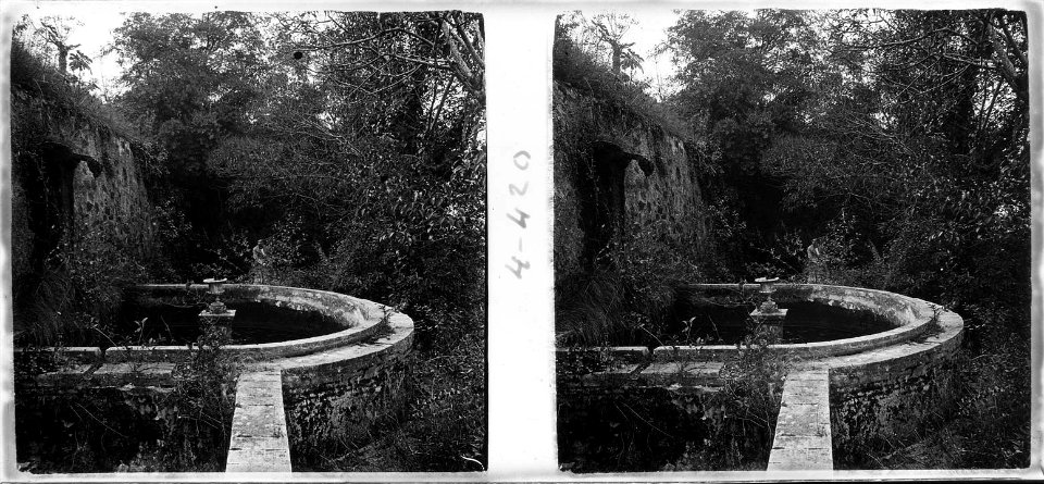 Jardí abandonat a Martorell