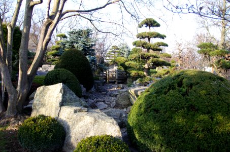 Japanischer Garten (Freiburg im Breisgau) 5026