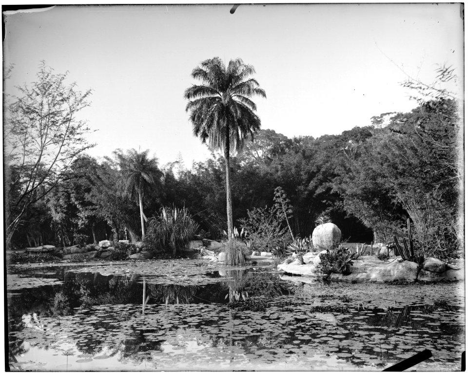 Jardim Botânico - 3