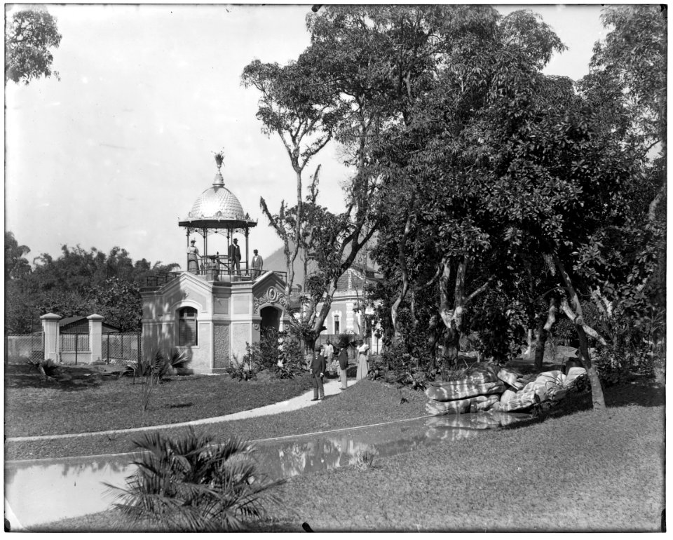 Jardim Botânico - 7