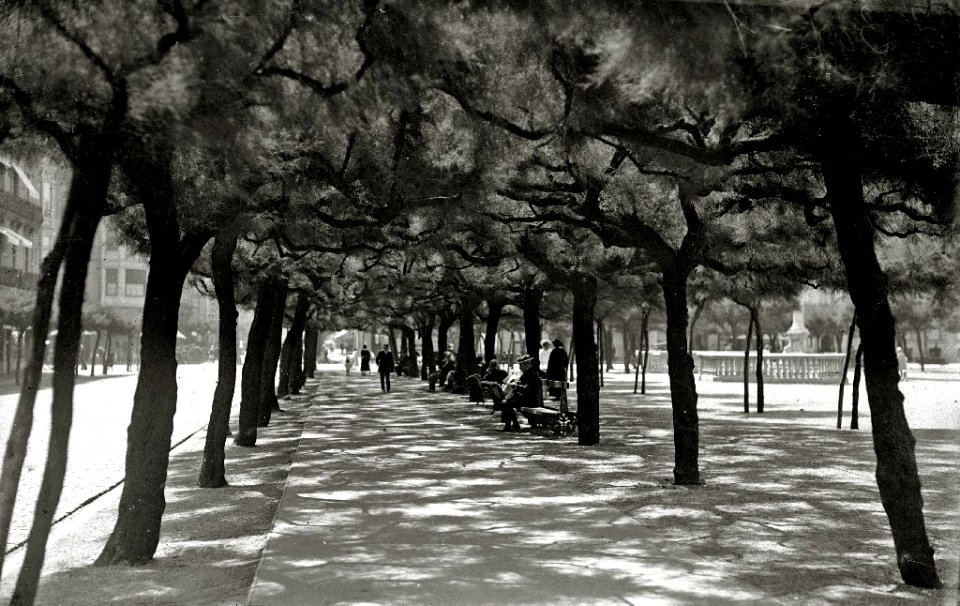 Jardines de Alderdi Eder (2 de 3) - Fondo Car-Kutxa Fototeka