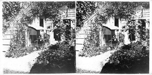 Jardí amb un galliner