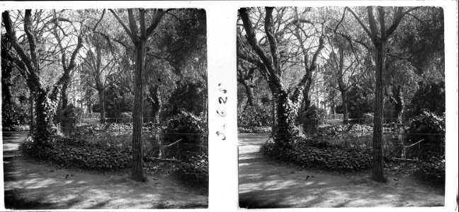 Jardí dels jesuïtes a Sarrià