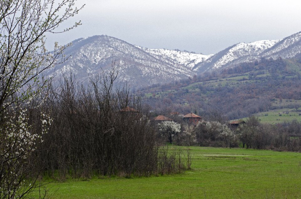 Mountains spring scene