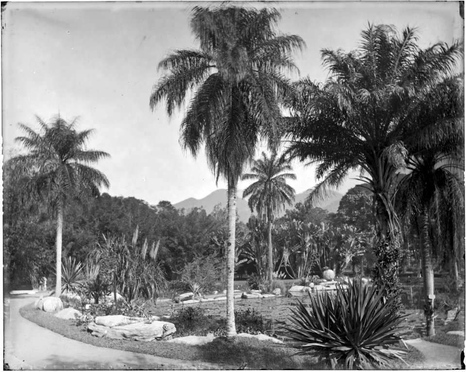 Jardim Botânico - 5