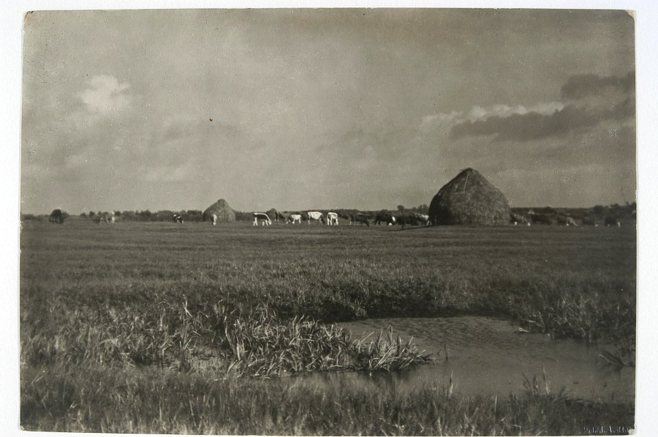 Jasielda. Ясельда (J. Bułhak, 1934)