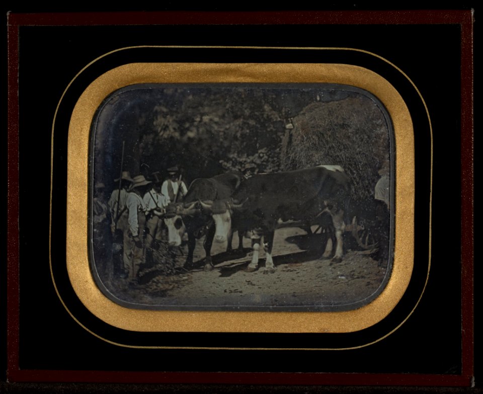 Jean-Gabriel Eynard (Swiss - (Peasants with oxen and wagon) - Google Art Project