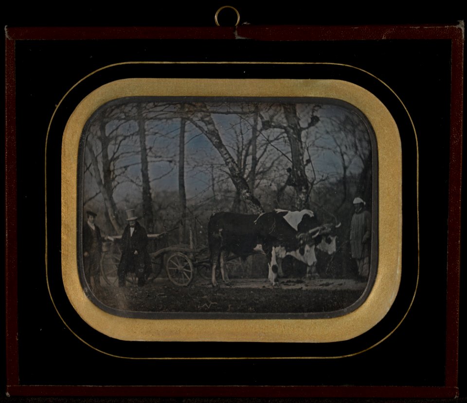 Jean-Gabriel Eynard (Swiss - (Jean-Gabriel Eynard with two servants and an ox-drawn wagon) - Google Art Project