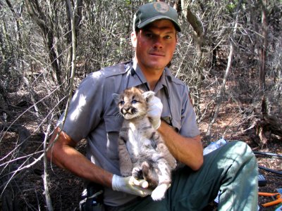 Jeff with Kitten (8970212003)