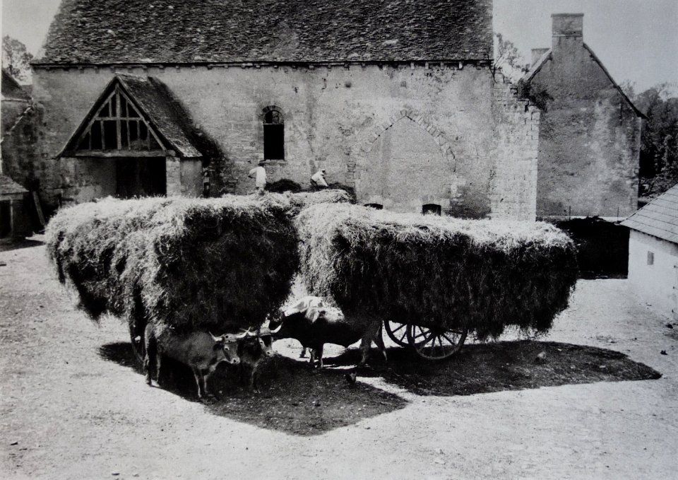 Jenny de Vasson abbaye de Varennes