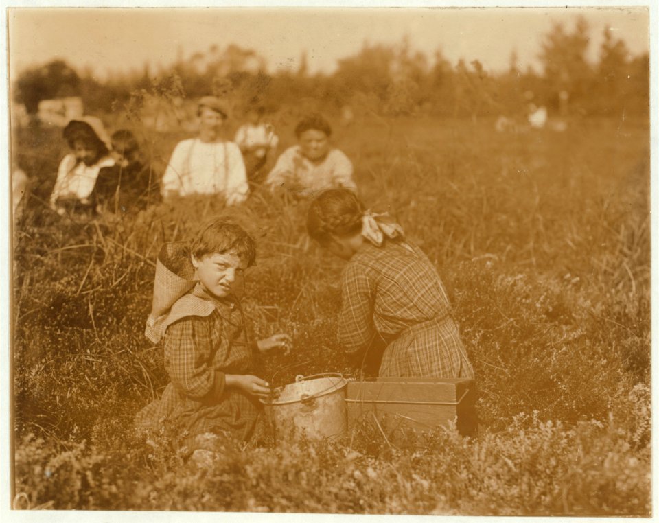 Jennie Williams, 1529 Titten St., Philadelphia. 5 years old. First summer. Theodore Budd's Bog, at Turkeytown, near Pemberton, N.J. This is fourth week of school in Philadelphia and people LOC nclc.05292