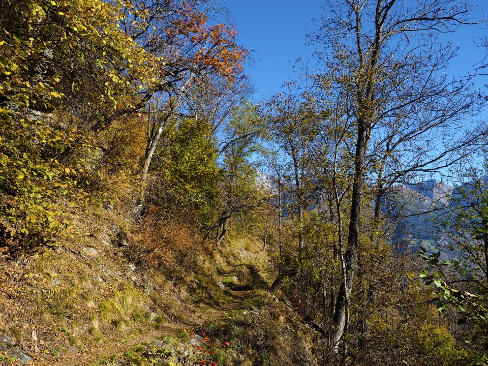 Path alps landscape