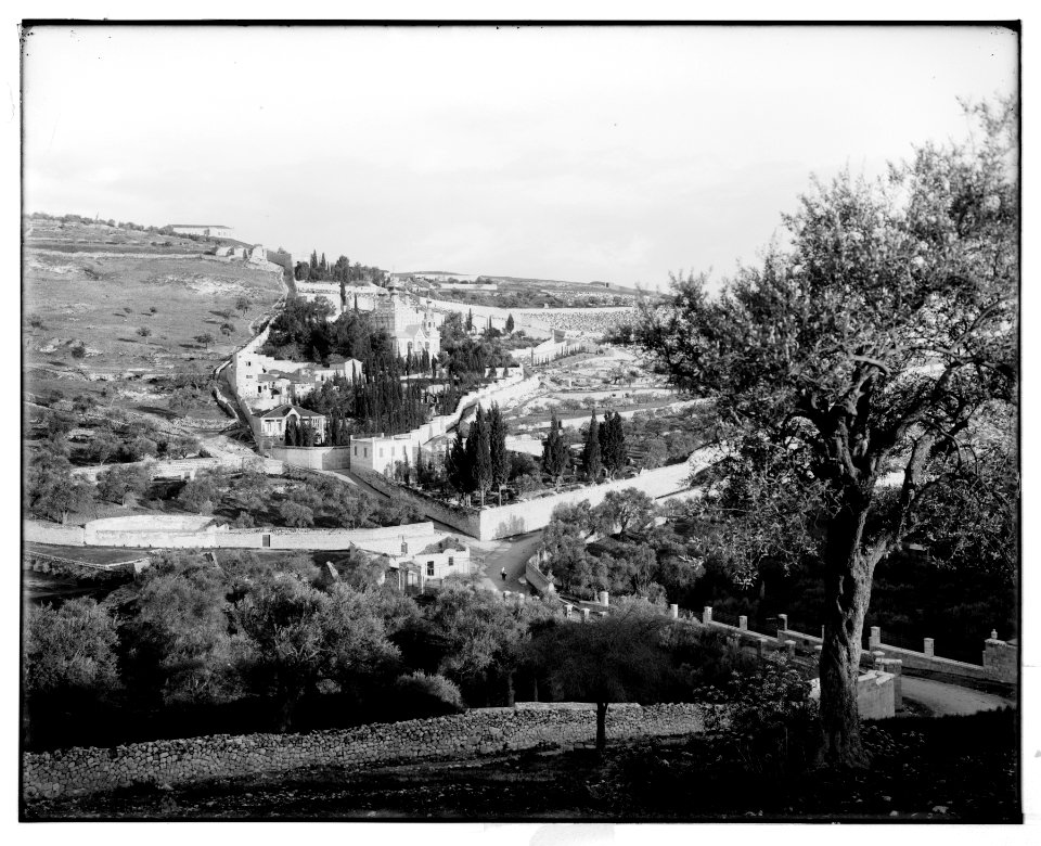 Jerusalem (El-Kouds). (Mount of Olives from the northwest) LOC matpc.06687