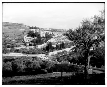 Jerusalem (El-Kouds). (Mount of Olives from the northwest) LOC matpc.06687