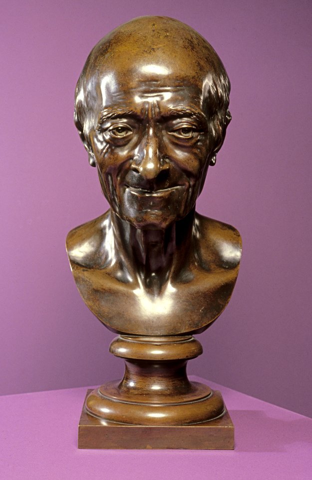 Jean-Antoine Houdon - Head of Voltaire - Walters 27408