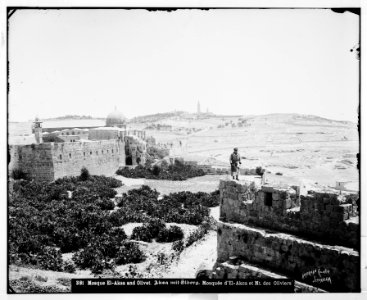 Jerusalem (El-Kouds). Mosque el-Aksa (i.e., al-Aqsa) and Olivet LOC matpc.06643