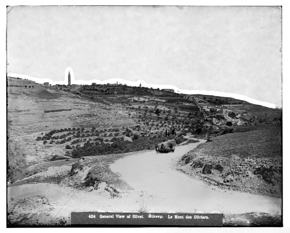 Jerusalem (El-Kouds). Mount of Olives from the northwest LOC matpc.06685