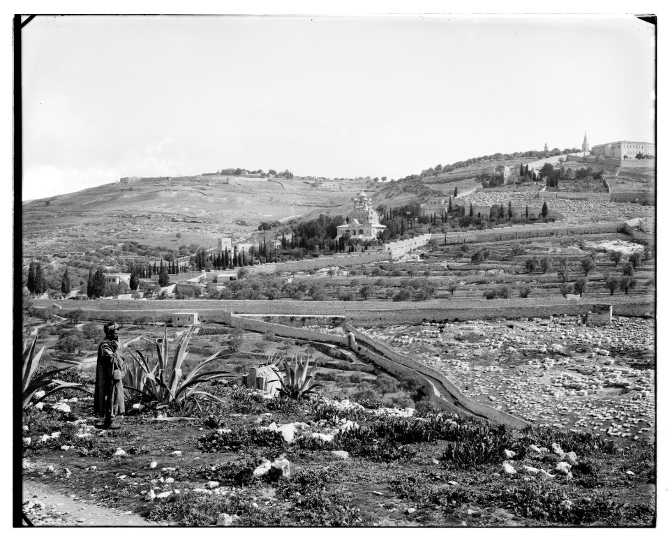 Jerusalem (El-Kouds). Mount of Olives from the south LOC matpc.06688