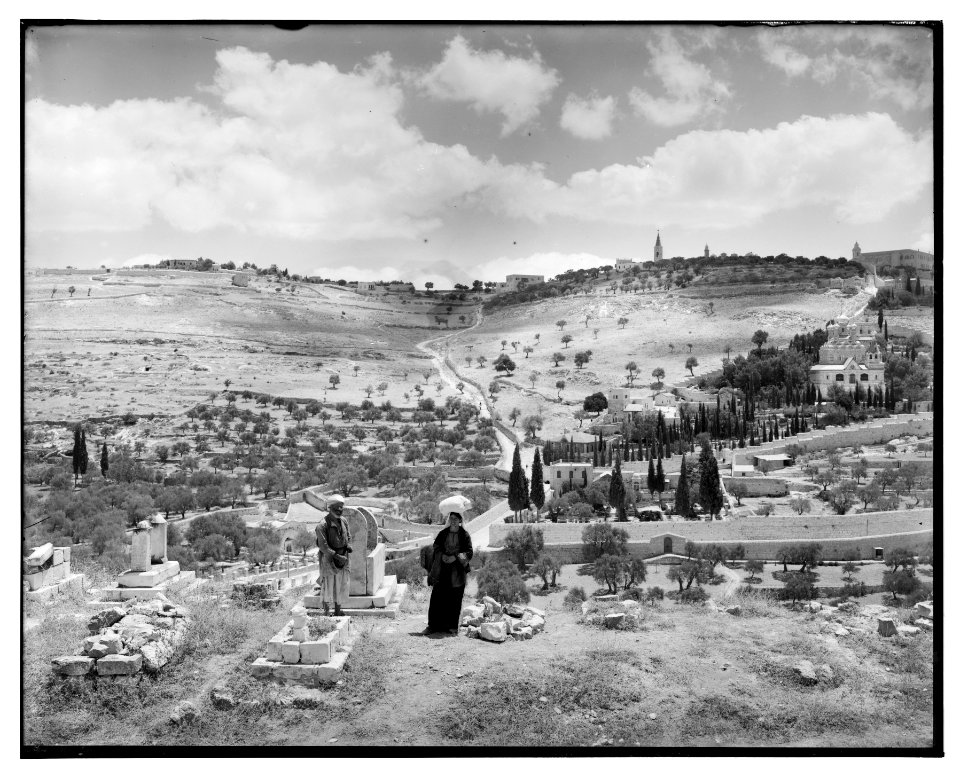 Jerusalem (El-Kouds). Mount of Olives from the west LOC matpc.06681