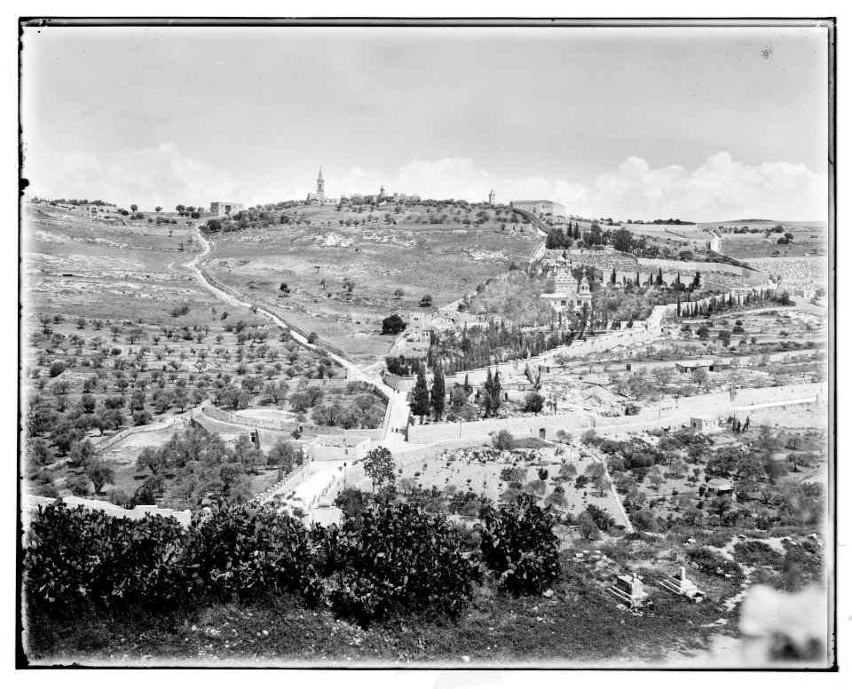 Jerusalem (El-Kouds). Mount of Olives from the west LOC matpc.06683