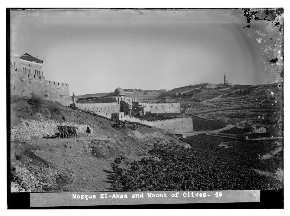 Jerusalem (El-Kouds). Mosque el-Aksa (i.e., al-Aqsa) and Olivet LOC matpc.07491