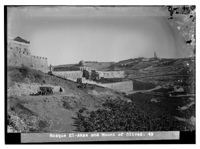 Jerusalem (El-Kouds). Mosque el-Aksa (i.e., al-Aqsa) and Olivet LOC matpc.07491