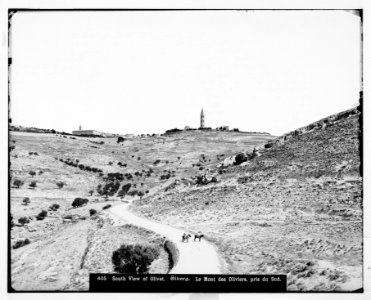 Jerusalem (El-Kouds). Mount of Olives from the south LOC matpc.06686