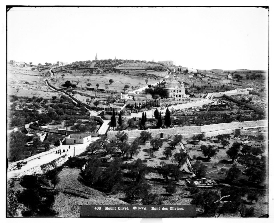 Jerusalem (El-Kouds). Mount of Olives from the west LOC matpc.06680