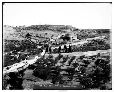 Jerusalem (El-Kouds). Mount of Olives from the west LOC matpc.06680