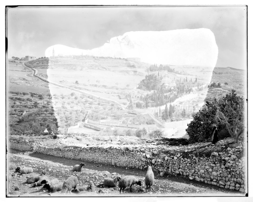Jerusalem (El-Kouds). Mount of Olives from the west LOC matpc.06682
