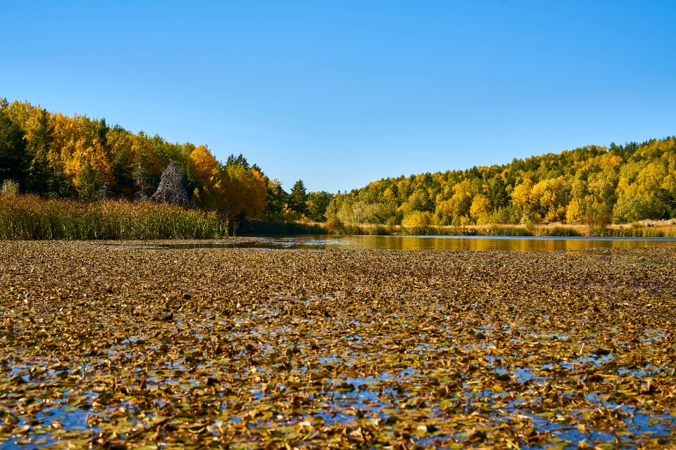 Nature mountain landscape