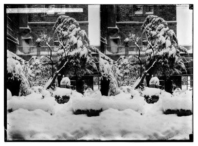 Jerusalem during a snowy winter. Courtyard and trees laden with snow LOC matpc.05474
