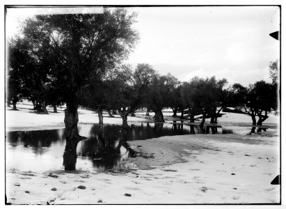 Jerusalem during a snowy winter. Winter torrent brook Kedron (i.e., Kidron) LOC matpc.05476