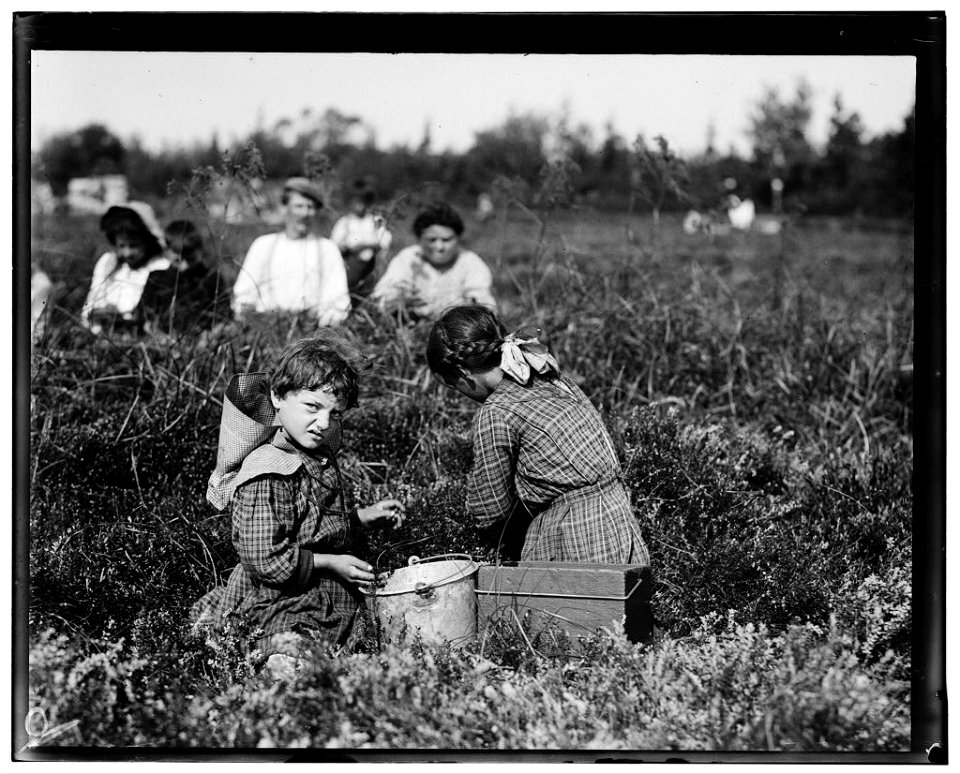 Jennie Williams, 1529 Titten St., Philadelphia. 5 years old. First summer. Theodore Budd's Bog, at Turkeytown, near Pemberton, N.J. This is fourth week of school in Philadelphia and people LOC nclc.05292