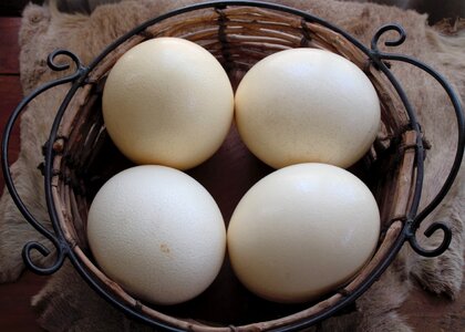 Basket eggshell color photo