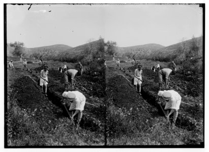 Jewish colonies and settlements. Commencing a Jewish settlement; a camp. Digging a trench LOC matpc.02360